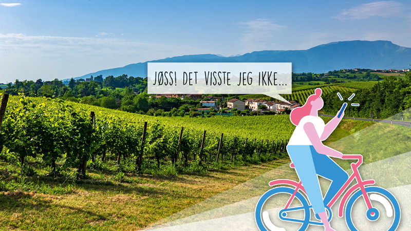 Fem artige fakta om prosecco!